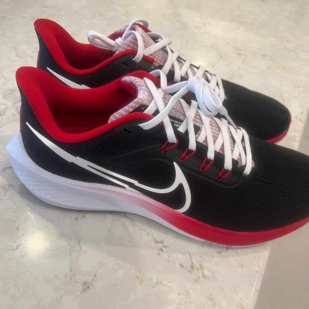 Nike Air Zoom Pegasus 39 Sneakers  NEW